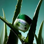 Elmore Petroleum Jelly Aloe Vera – soothing skin protection for dry and sensitive skin